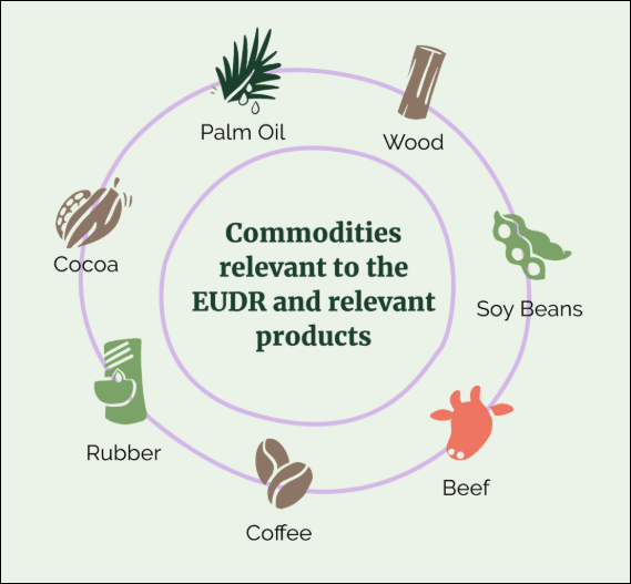 EUDR Commodities