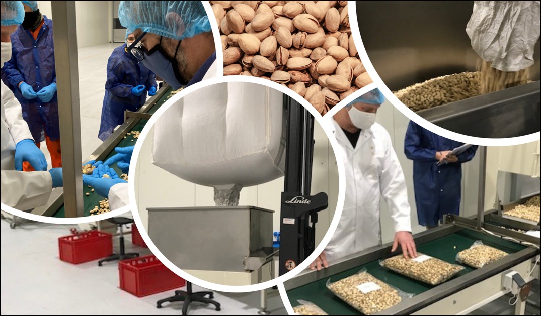 Pistachio sorting line