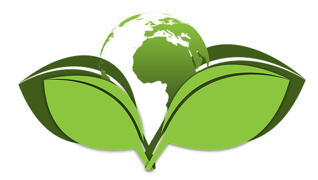 MOLENBERGNATIE JOINS IN WORLD ENVIRONMENT DAY ON JUNE 5th